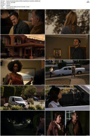 Sneaky Pete S03 NORDiC 720p WEB-DL H 265 DDP5 1-CiNEMiX