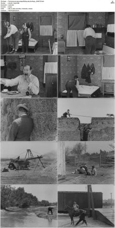 The Scarecrow 1920 1080p BluRay x265-Garshasp
