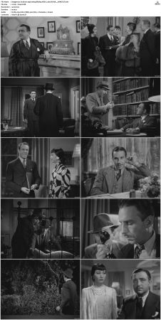 Dangerous To Know 1938 1080p BluRay HEVC x265-SUP3R