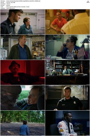 Sneaky Pete S02 NORDiC 720p WEB-DL H 265 DDP5 1-CiNEMiX