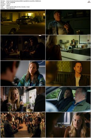Sneaky Pete S02 NORDiC 720p WEB-DL H 265 DDP5 1-CiNEMiX