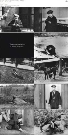 Hard Luck 1921 1080p BluRay x265-Garshasp