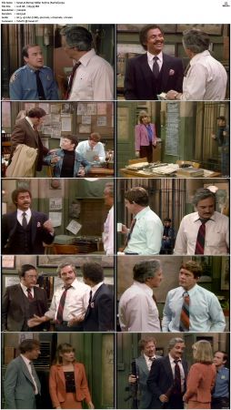 Barney Miller S07 DVDRip x264-NGP