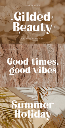 EE - Gilded Beauty - A Classy Serif Font MPRH5C2