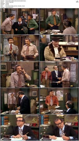Barney Miller S02 DVDRip x265-NGP