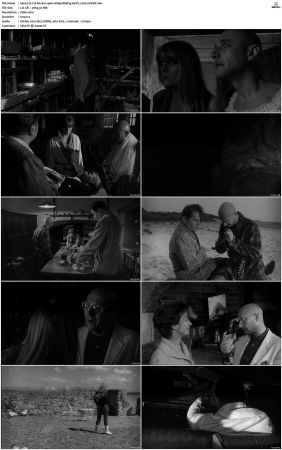 Cul-De-Sac 1966 1080p BluRay HEVC x265-SUP3R