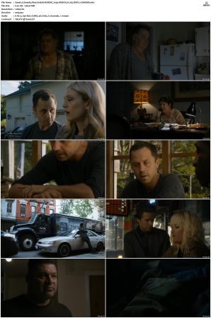 Sneaky Pete S01 NORDiC 720p WEB-DL H 265 DDP5.1-CiNEMiX