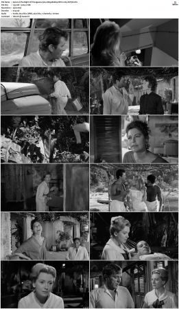 The Night Of The Iguana 1964 1080p BluRay HEVC x265-SUP3R