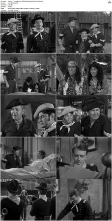F Troop S01 DVDRip XviD-cOOt