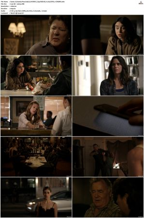 Sneaky Pete S03 NORDiC 720p WEB-DL H 265 DDP5 1-CiNEMiX