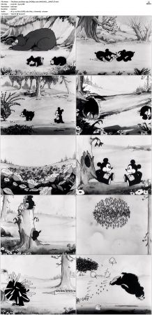 The Bears and Bees 1932 DVDRip x264-HANDJOB
