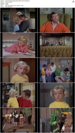 The Brady Bunch S01 DVDRip x264-NGP