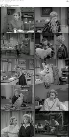 The Lucy Show S01 DVDRip x264-NGP
