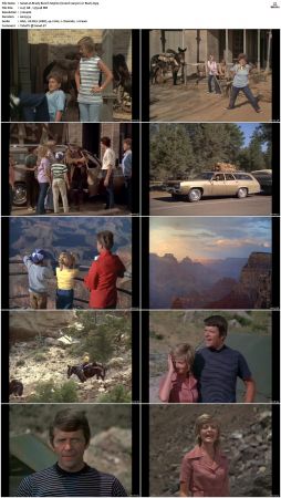 The Brady Bunch S03 DVDRip x264-NGP