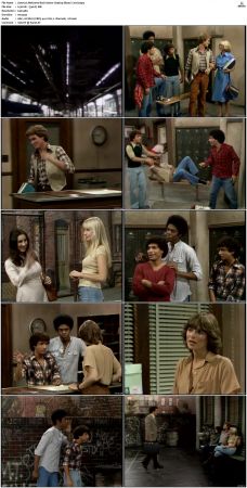Welcome Back Kotter S04 DVDRip x264-NGP
