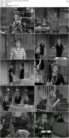 The Lucy Show S01 DVDRip x264-NGP