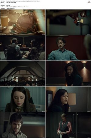 Hannibal S01 1080p BluRay Dts-HDMa5 1 AVC-PiR8