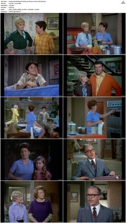 The Brady Bunch S01 DVDRip x264-NGP