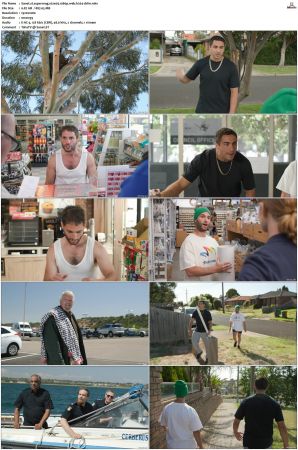 Superwog S02 1080p WEB H264-CBFM