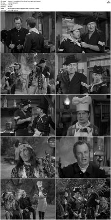F Troop S01 DVDRip XviD-cOOt