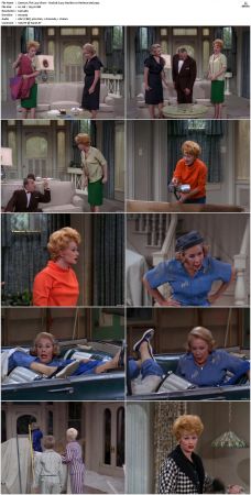 The Lucy Show S02 DVDRip x264-NGP