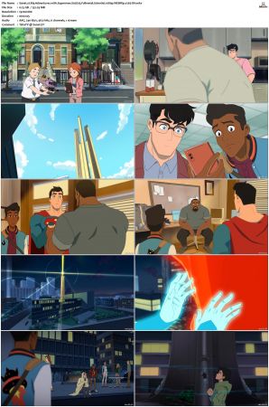 My Adventures with Superman S02 1080p WEBRip x265-DH