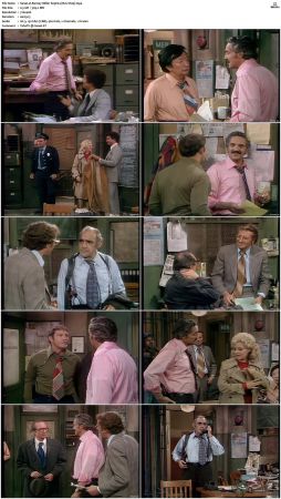 Barney Miller S03 DVDRip x264-NGP