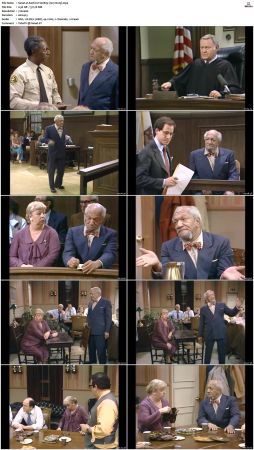 Sanford S02 DVDRip x264-NGP