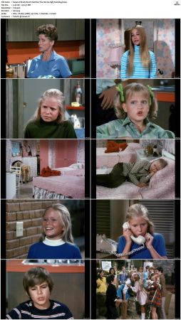 The Brady Bunch S02 DVDRip x264-NGP