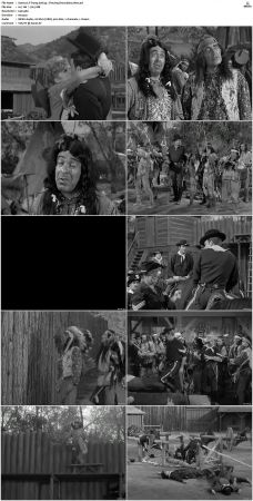 F Troop S01 DVDRip XviD-cOOt