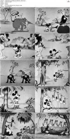 Jungle Rhythm 1929 DVDRip x264-HANDJOB