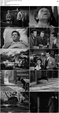 Spy Hunt 1950 1080p BluRay HEVC x265-SUP3R