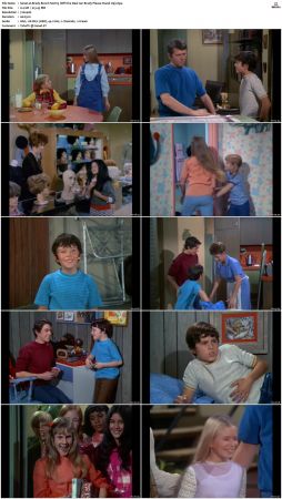 The Brady Bunch S02 DVDRip x264-NGP