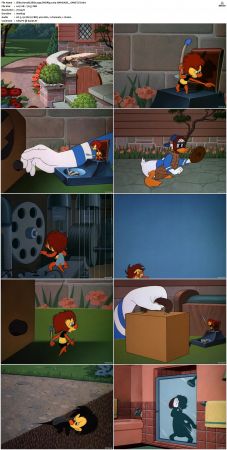 Slide Donald Slide 1949 DVDRip x264-HANDJOB