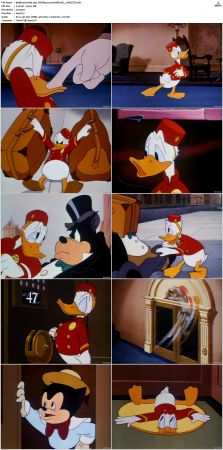 Bellboy Donald 1942 DVDRip x264-HANDJOB