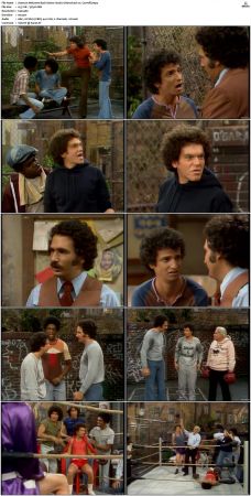 Welcome Back Kotter S02 DVDRip x264-NGP