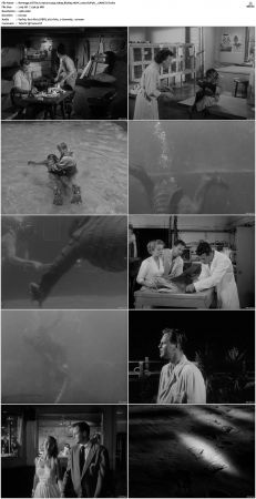 Revenge Of The Creature 1955 1080p BluRay HEVC x265-SUP3R