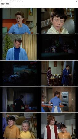 The Brady Bunch S01 DVDRip x264-NGP