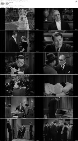 After the Thin Man 1936 720p BluRay x264-x0r