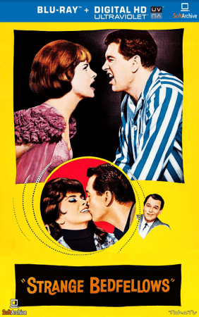 Strange Bedfellows 1965 1080p BluRay HEVC x265-SUP3R