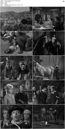 F-Troop S01 DVDRip XviD-cOOt