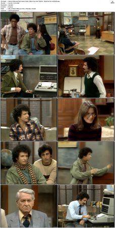 Welcome Back Kotter S03 DVDRip x264-NGP