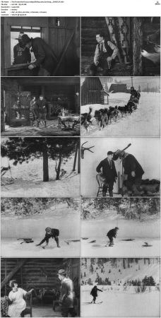 The Frozen North 1922 1080p BluRay x265-Garshasp