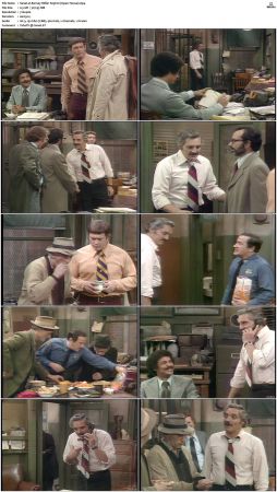 Barney Miller S05 DVDRip x264-NGP