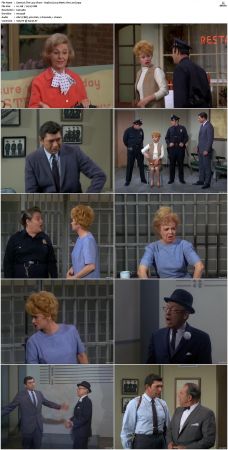The Lucy Show S05 DVDRip x264-NGP