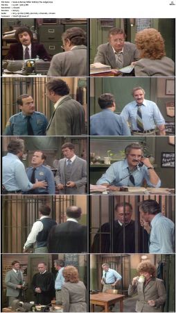 Barney Miller S06 DVDRip x264-NGP