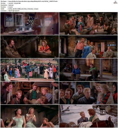Seven Brides For Seven Brothers 1954 1080p BluRay HEVC x265-SUP3R