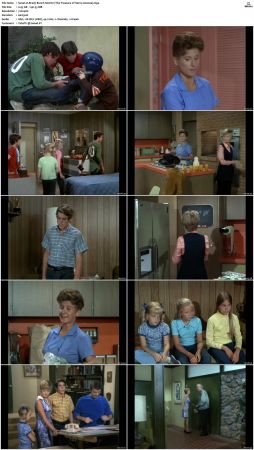 The Brady Bunch S02 DVDRip x264-NGP