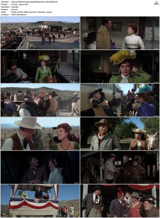 Mclintock 1963 1080p BluRay HEVC x265-SUP3R
