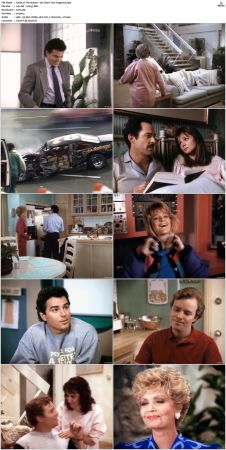 The Bradys S01 DVDRip x264-NGP